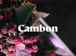 Cambon